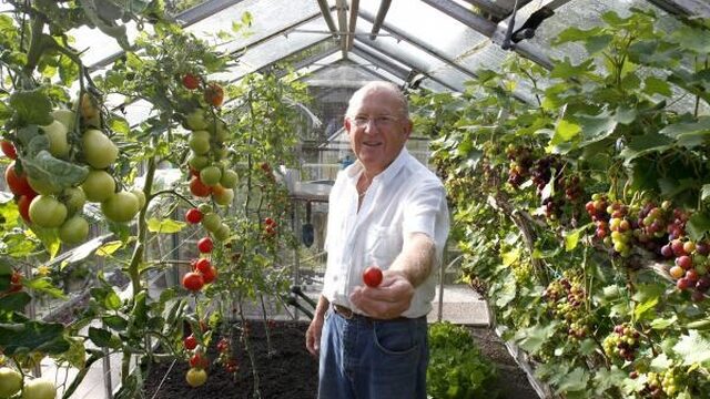 Tips om ongedierte uit je moestuin te weren