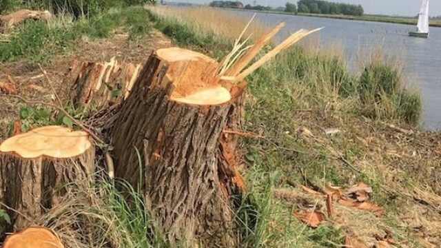 Kap Keteleiland had nooit mogen gebeuren