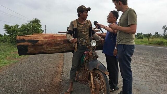 Hoe ons hout illegaal wordt gekapt in Cambodja