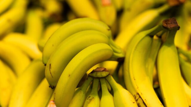 Bestaat er maar één bananensoort? En wordt die bedreigd?