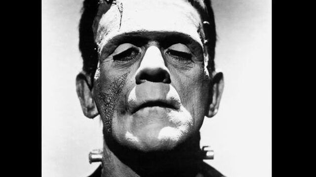 Als het 's zomers alleen maar regent, komen de monsters tevoorschijn