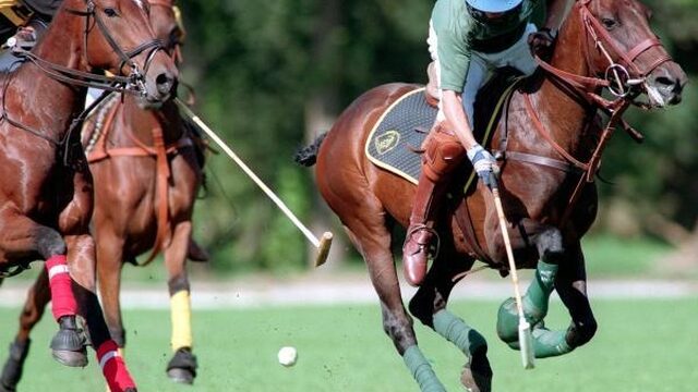 Beeldhouwen en nog drie sporten die ooit olympisch waren