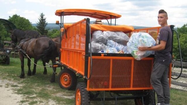 Terug van weggeweest: de schillenboer
