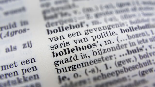 Waarom zijn we niet trots op de Nederlandse taal? 'We onderschatten het heel erg'