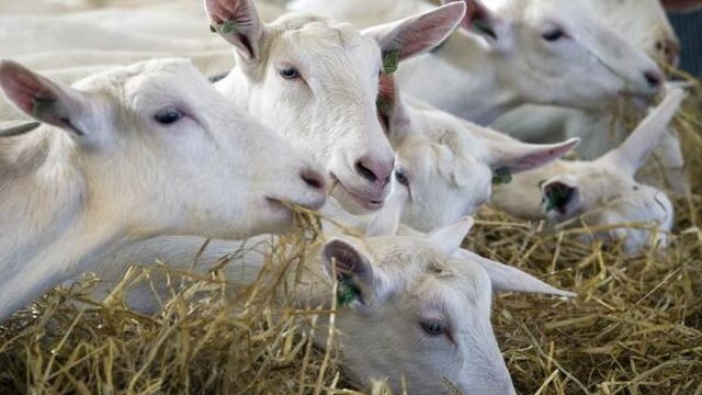 'Huisartsen moeten vaker uit het raam kijken'