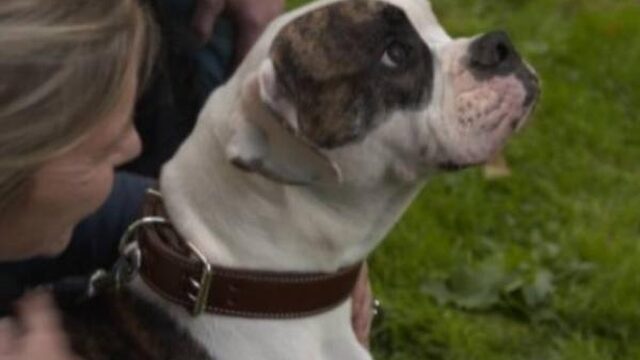 'Pipo de kloon' is geen BNN-grapje