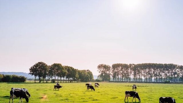 'Van de Randstad naar Friesland is verder dan andersom'