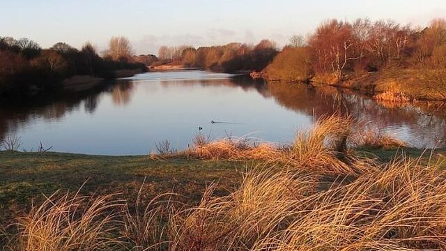 Grondwater besmet met bestrijdingsmiddelen