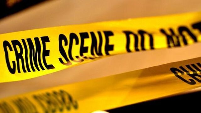 Het boekenpanel: 'Aan het zwembad wil ik me nog wel verlagen tot pure pulp'