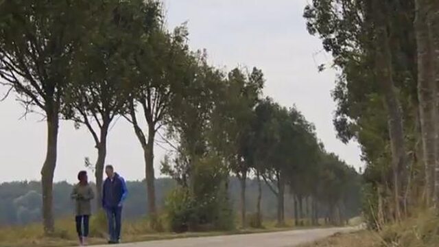 Zoek mee naar niet zieke essen