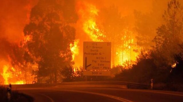Bosbrand in Portugal eist tientallen levens