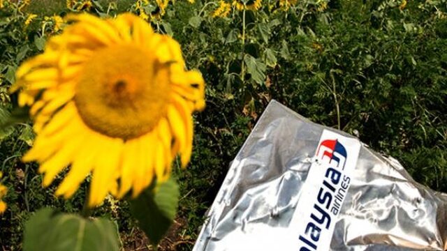 Emotionele oproep om getuigen van nabestaanden MH17