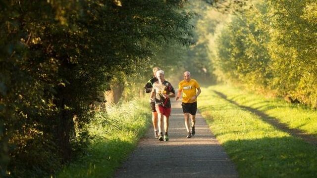 Hersenonderzoek: je bent nooit volwassen en sporten maakt mogelijk slimmer