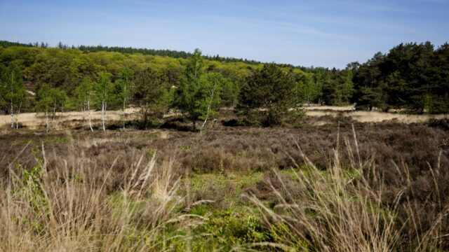 Welke maatregelen kunnen er genomen worden tegen de aanhoudende droogte in Nederland?