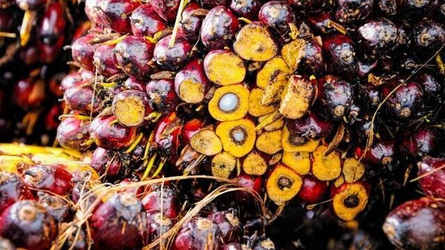 Hoe duurzaam is duurzame palmolie?