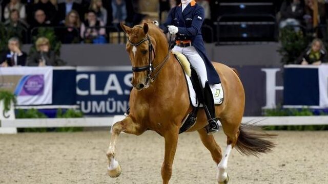 'Media, pak de paardenjournalistiek op!'