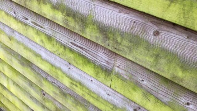 Groene aanslag verwijder je simpel en makkelijk met deze tien tips