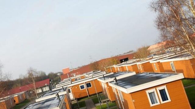 Wie profiteert er van de opvang van asielzoekers?