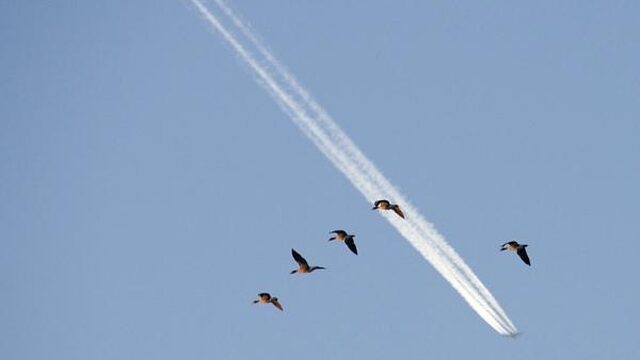 Luchtvaartsector gaat CO2-uitstoot compenseren