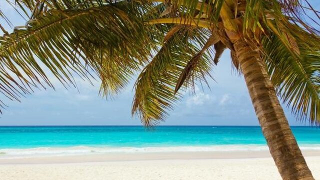 Armoede achter de Caribische palmbomen