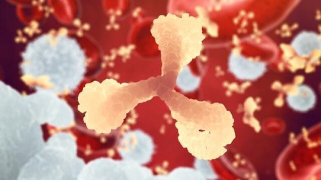 Eiwitten gevonden die ebola tegengaan