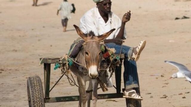 Duizenden Gambianen vluchten via ‘The Backway’ naar Europa