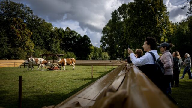 Wat zijn 'plattelandsevangelisten'? 'Gaat om hartstochtelijke verheerlijking'
