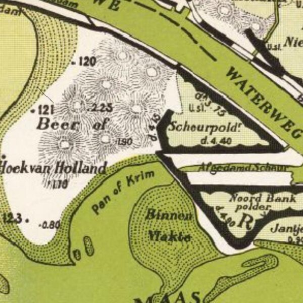 Vogeleiland De Beer verdween: wat is er met dit unieke natuurgebied gebeurd?