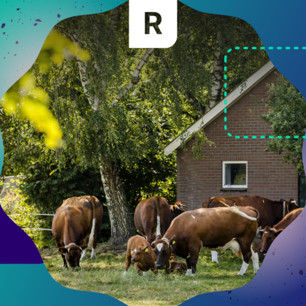 Pointer Regio: het Gelderse stikstofdebat