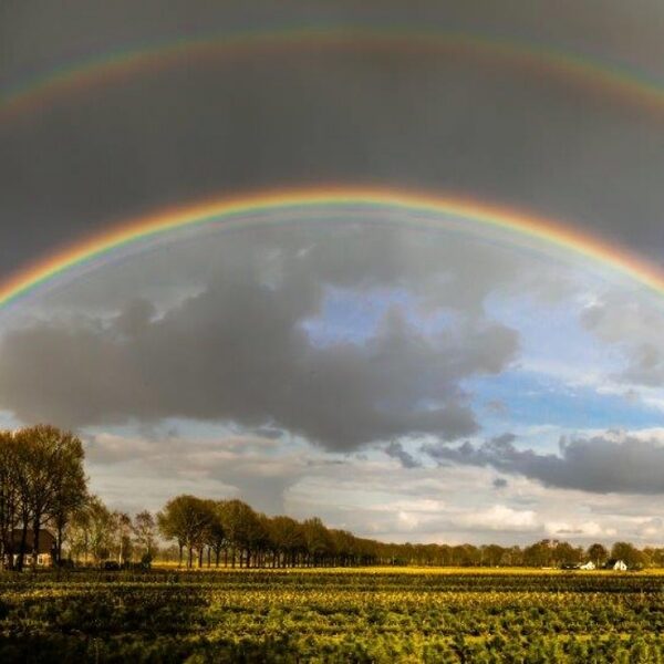 Van regenboog tot halo: zo ontstaan deze bijzondere weersverschijnselen