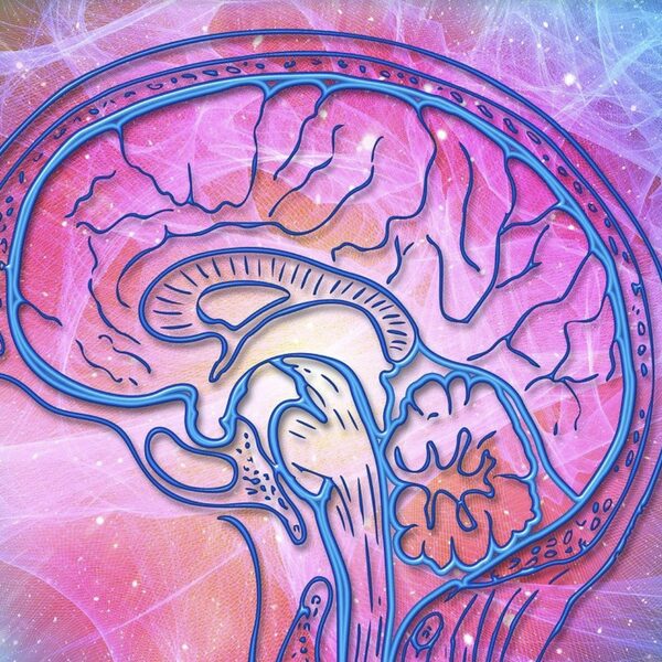 Ontrafelen we het menselijk bewustzijn met psychedelica?