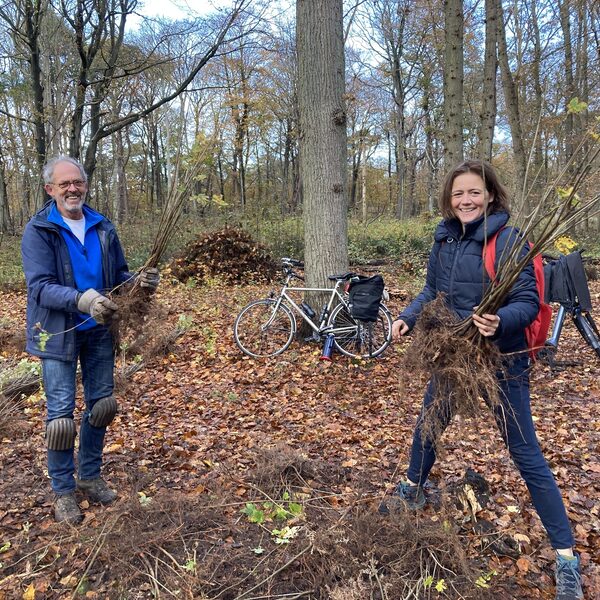 Biodiversiteit herstellen door bomen te verplanten: doe mee aan de Doneer-een-Zaailing-Dag