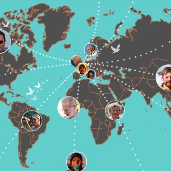 Vroege Vogels gaat de wereld over!