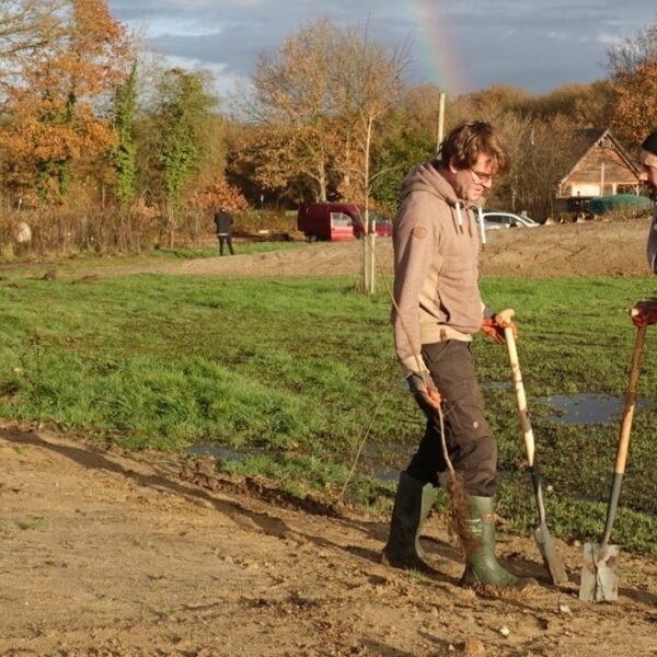 Help de natuur, plant struiken!