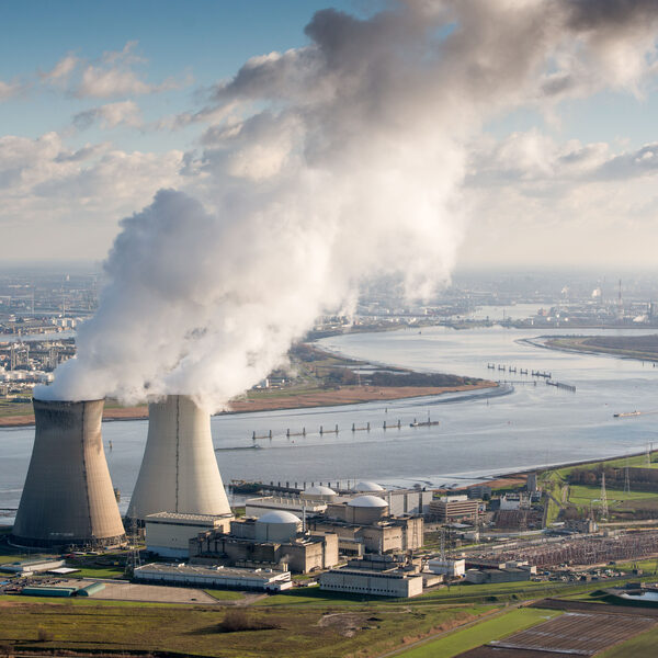 Vis in de Westerschelde zit vol Pfas