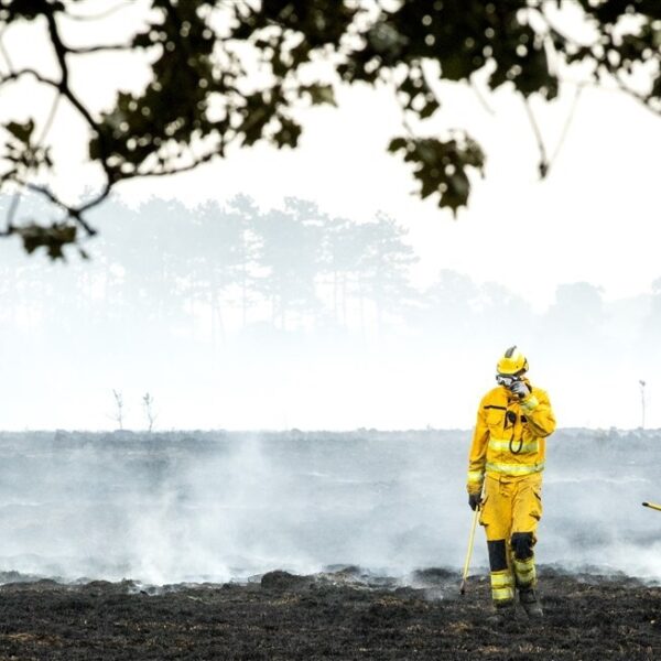 Het Drents-Friese Wold bereidt zich voor op natuurbranden