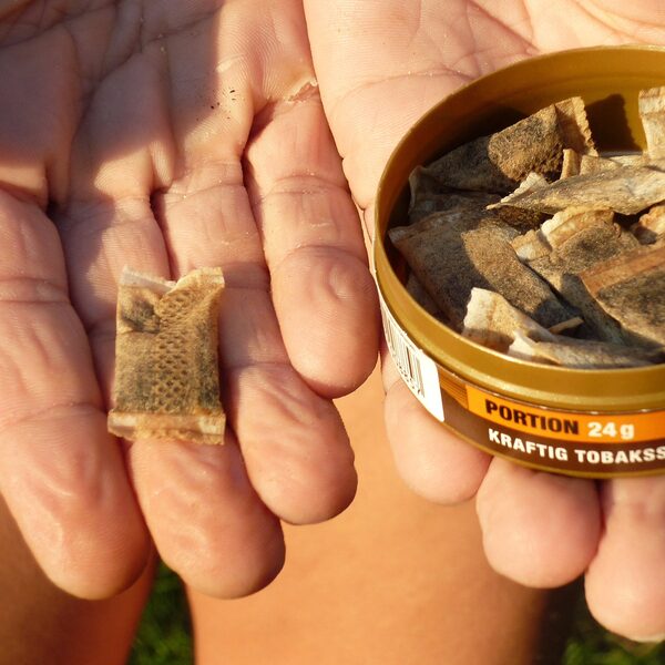 Jongeren massaal aan de zuigtabak snus: 'Het begint al op de basisschool'