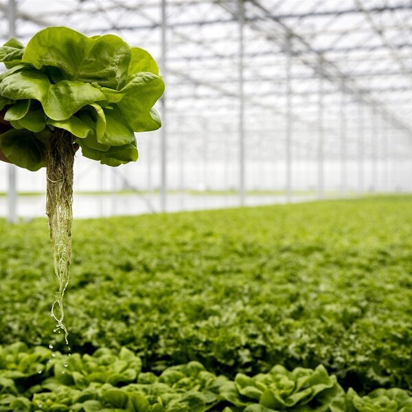 Is geo-engineering de oplossing voor het klimaatprobleem?