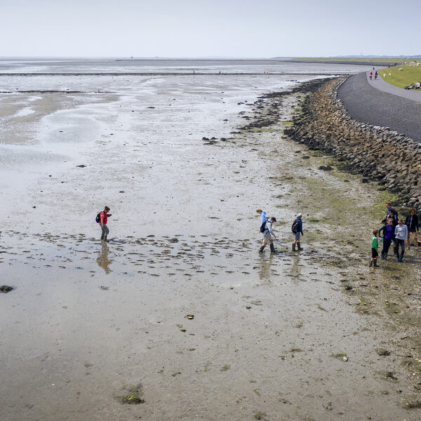 Wadplaten dreigen te verdrinken door zeespiegelstijging