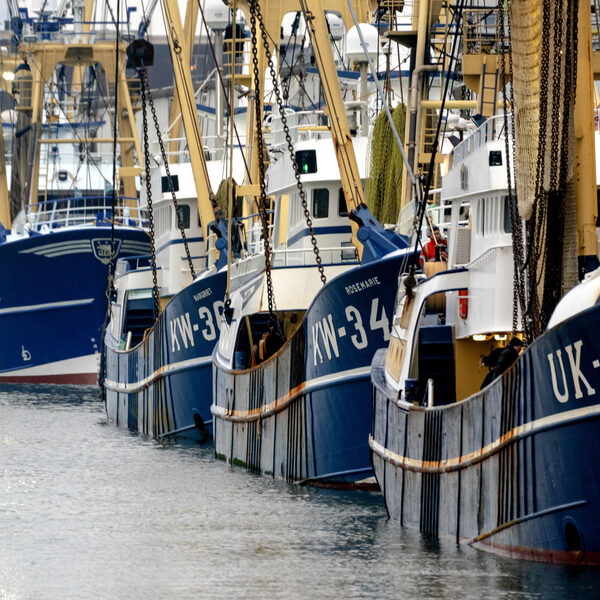 Vissers met geldproblemen benaderd voor drugssmokkel: 'Na de eerste keer kan je geen nee meer zeggen'