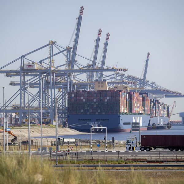 Natuurorganisaties: rechter moet kabinet dwingen natuur Voordelta te herstellen