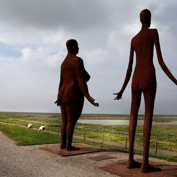 'Waddenzee mooiste natuurgebied van de wereld, maar hoe lang nog?'