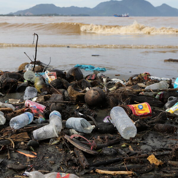 WNF waarschuwt, in 2050 vier keer zoveel plastic in oceaan: 'We moeten die kraan dichtdraaien'