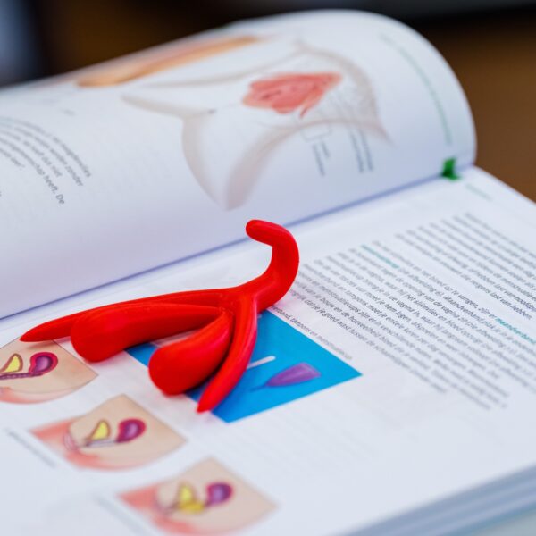 Les over de clitoris in groep 6? 'Kinderen én ouders zijn daar nog niet aan toe'