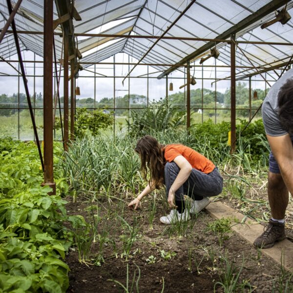 De blinde vlek binnen de GGZ-wachtlijsten: wandelen of werken in de natuur