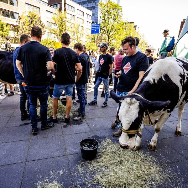 Alledaagse Vragen - Hoeveel boerderijen bestaan er nog?