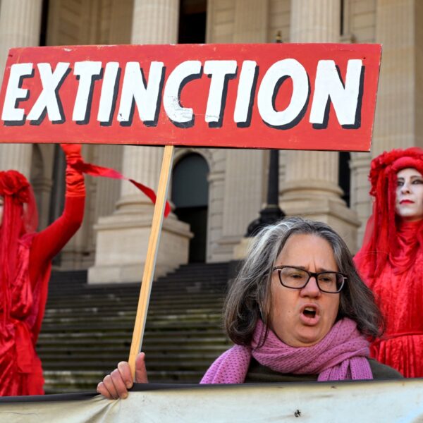 Extinction Rebellion ziet beweging hard groeien na vastlijmactie aan talkshowtafel