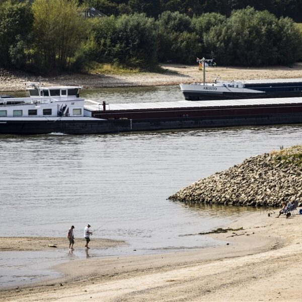 Grote gevolgen rond de IJssel door de droogte. 'Alles staat in de overlevingsstand'
