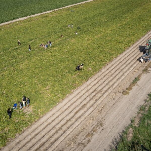 Flevoland wilde uitkoop boeren afstemmen met Schiphol