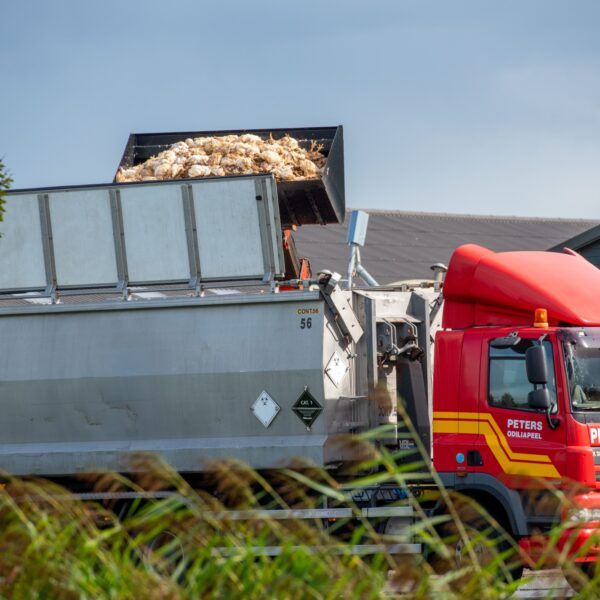 Wordt vogelgriep de nieuwe coronacrisis? En nog acht vragen over de vogelgriep